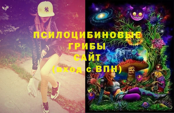 стафф Беломорск