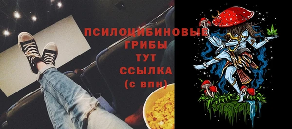 стафф Беломорск