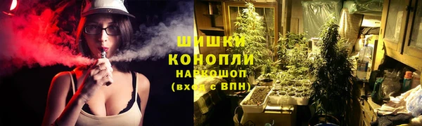 стафф Беломорск