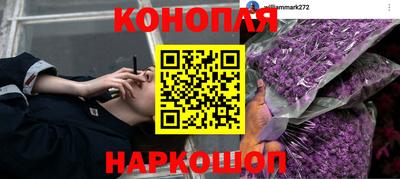 прущие грибы Бузулук