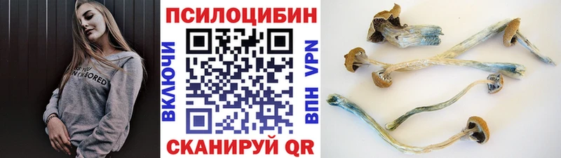 дарнет шоп  Воркута  Псилоцибиновые грибы Cubensis 