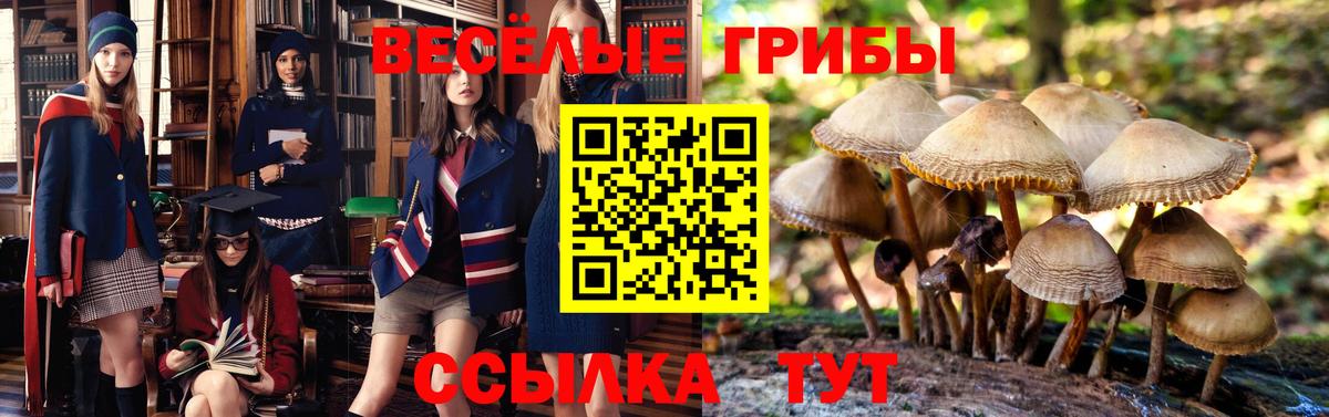 Галлюциногенные грибы Cubensis  Вход с VPN  Воркута 
