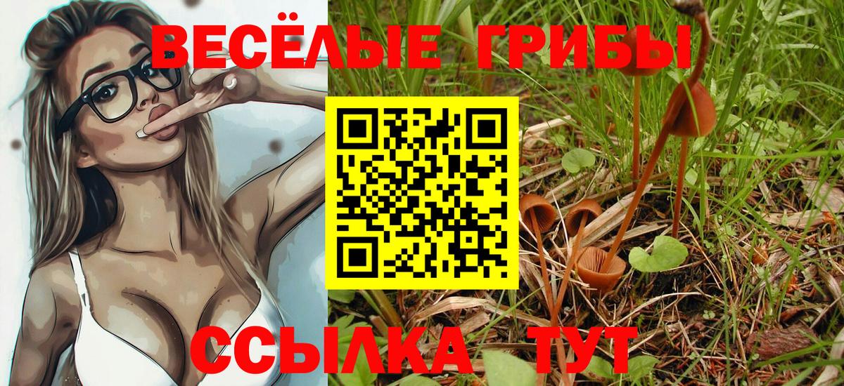 Галлюциногенные грибы MAGIC MUSHROOMS Воркута